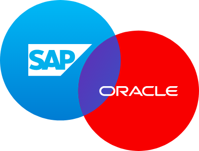 Custom Development Integration With Sap And Oracle Talentera